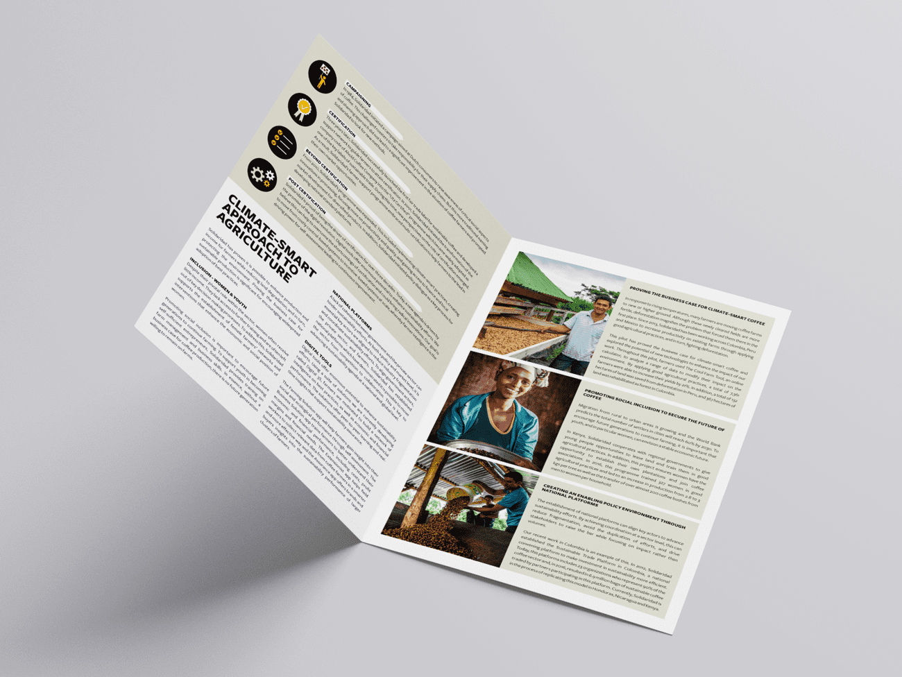 Solidaridad, positioning, papers, coffee, impact investment