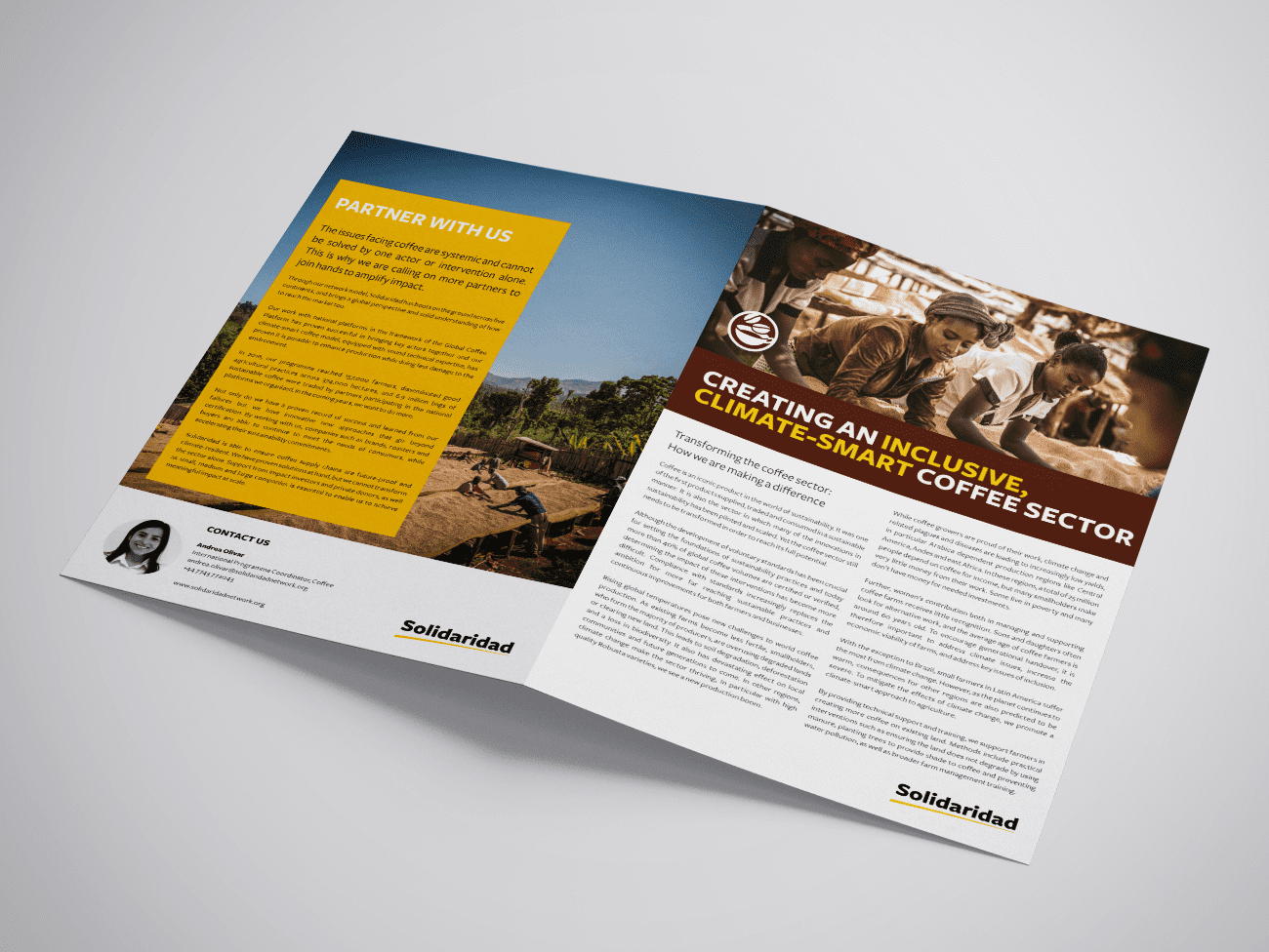 Solidaridad, positioning, papers, coffee, impact investment