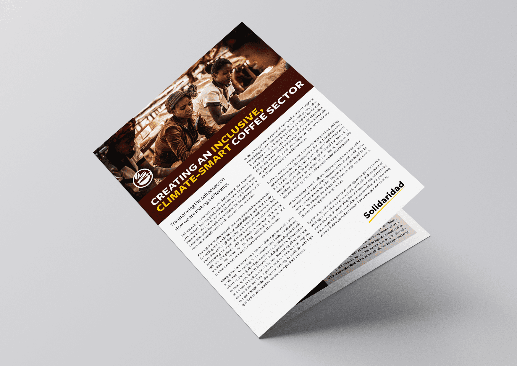 Solidaridad, positioning, papers, coffee, impact investment