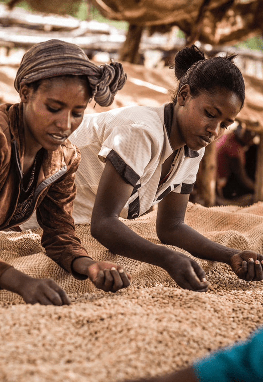Solidaridad, positioning, papers, coffee, impact investment