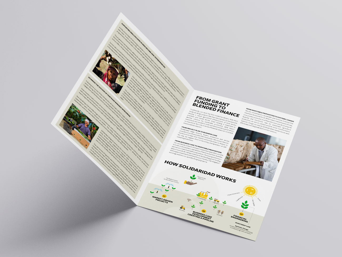 Solidaridad, positioning, papers, coffe, impact investment