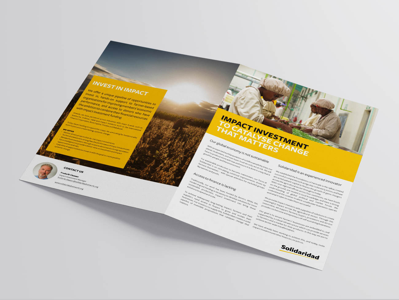 Solidaridad, positioning, papers, coffe, impact investment