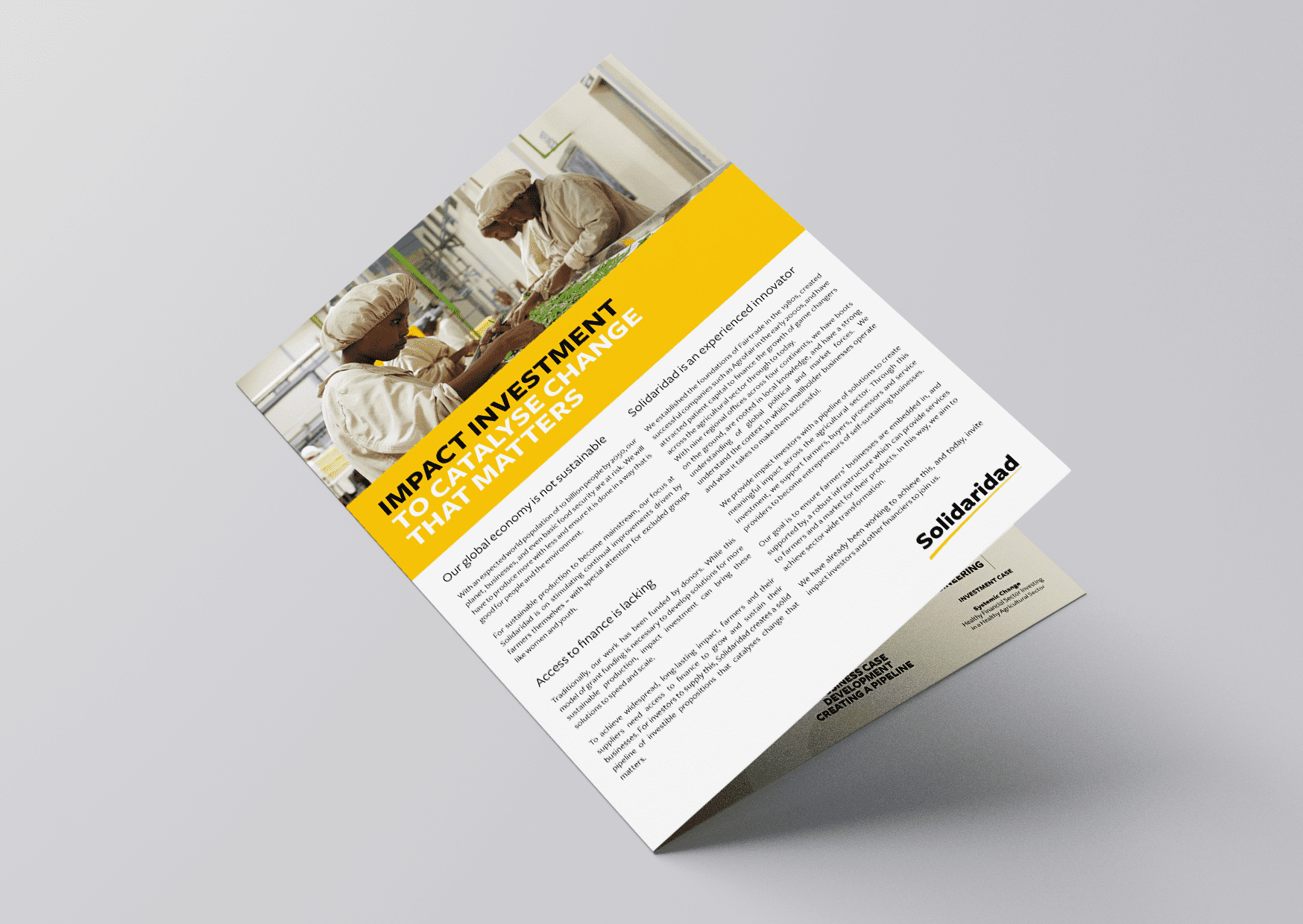 Solidaridad, positioning, papers, coffe, impact investment