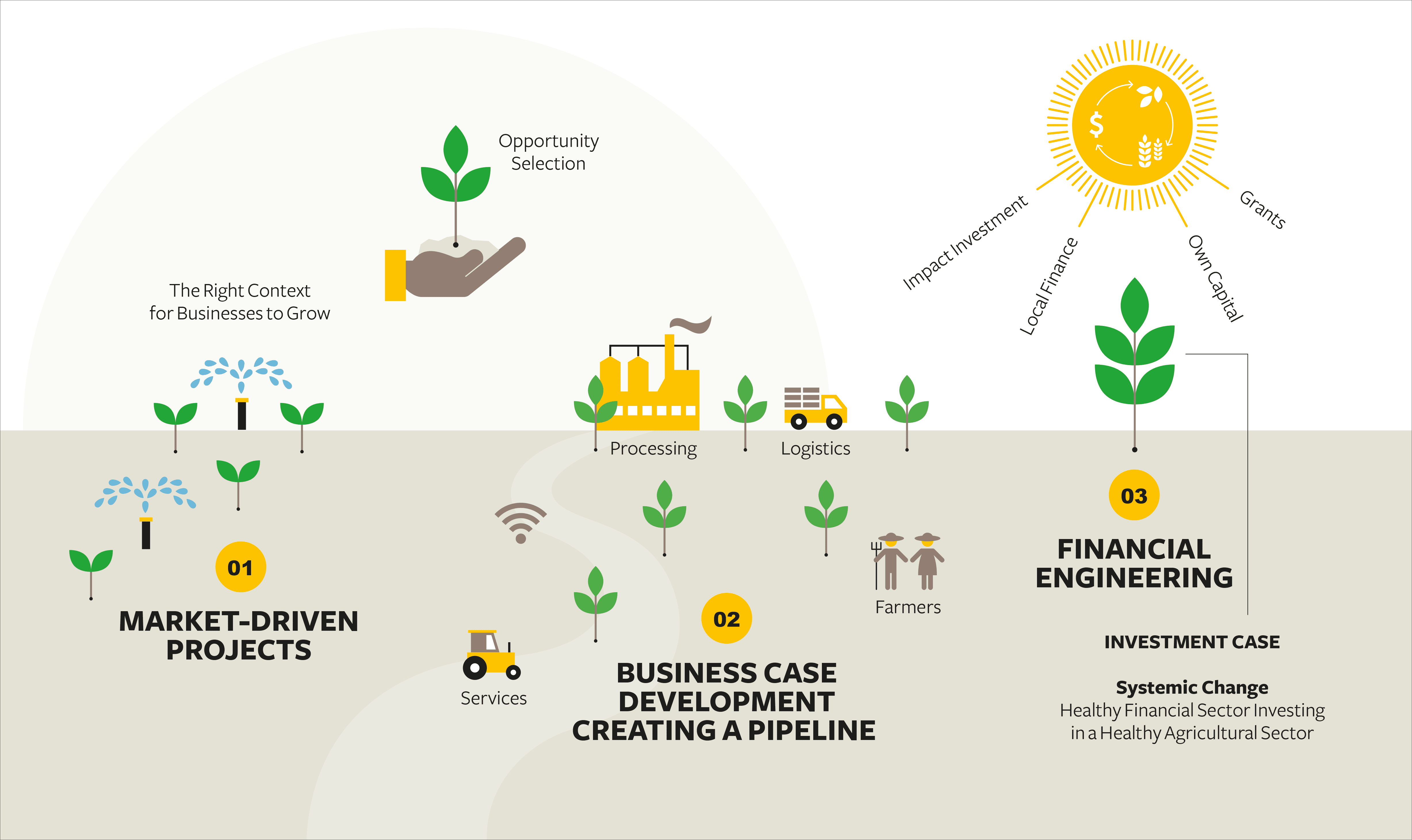 Solidaridad, positioning, papers, coffe, impact investment, infographic, farmers, green, leafs, sun, water, business case, financial, market-driven, projects