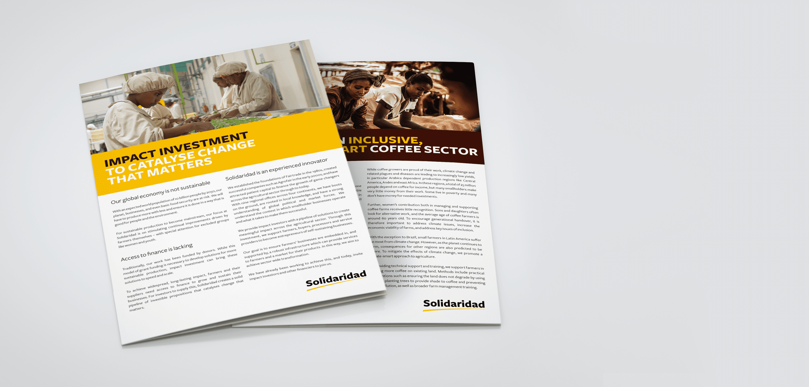 Solidaridad, positioning, papers, coffee, impact investment